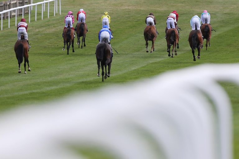 Große Ehrung für Winx: Bald in Bronze