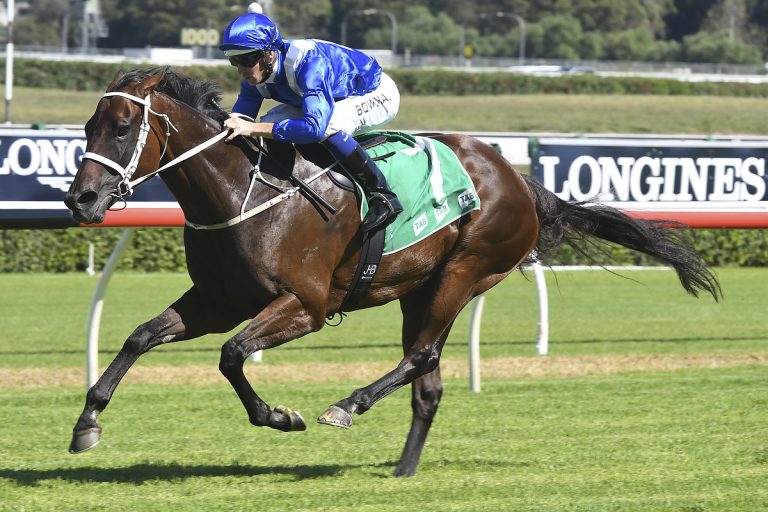 Die Fans haben gesprochen