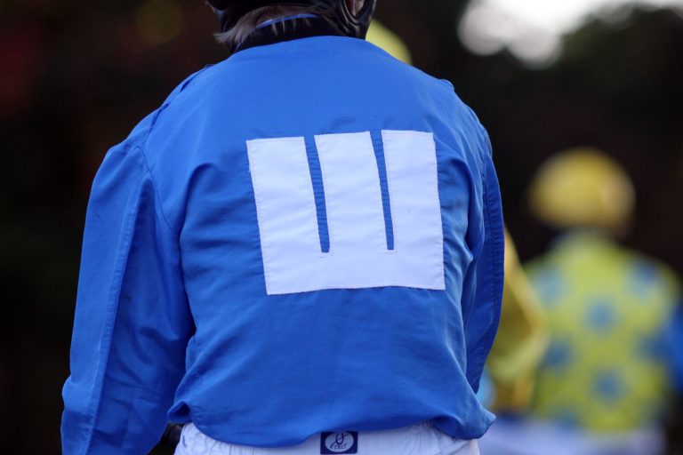 Arqana: Zwei Wittekindshofer bringen mehr als 200.000 Euro