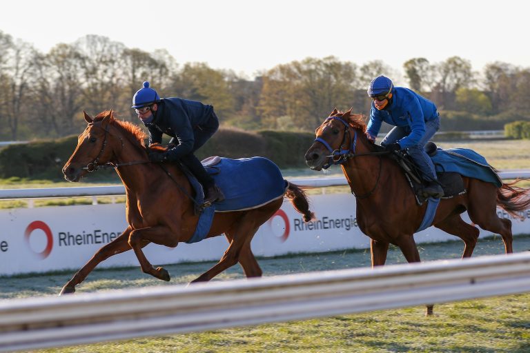 „Wir laufen nur, wenn der Boden weich wird“