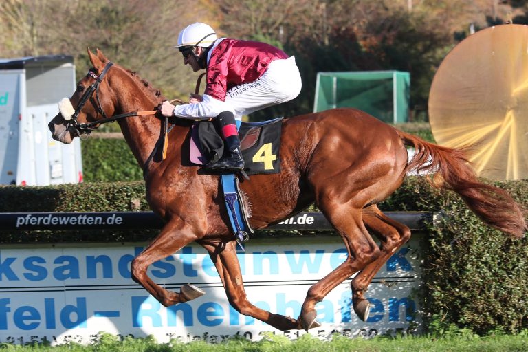 Wonderful Moon: Handicap-Marke nach Konferenz