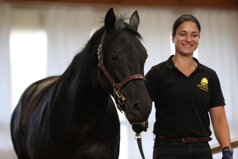 Brümmerhofer Zucht im Gruppe I am Arc-Tag