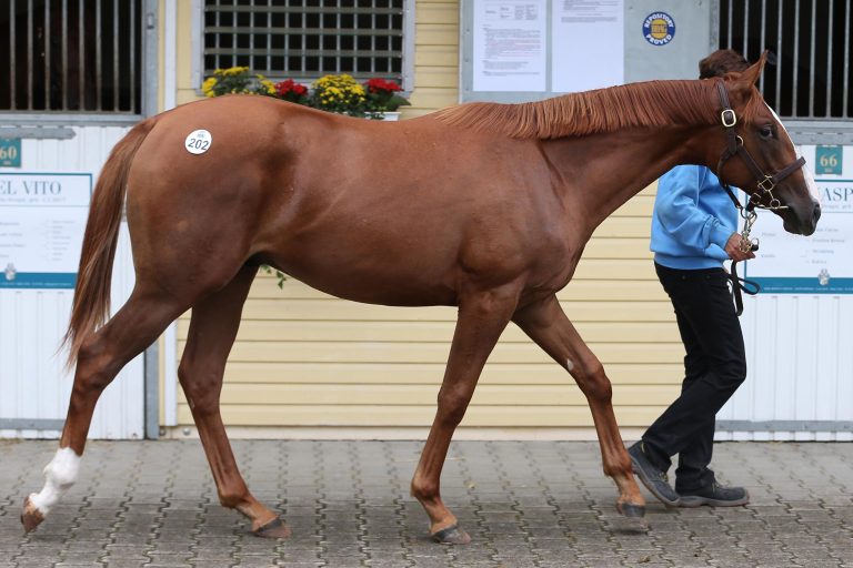 Es geht doch – Worrick nun auch Sieger