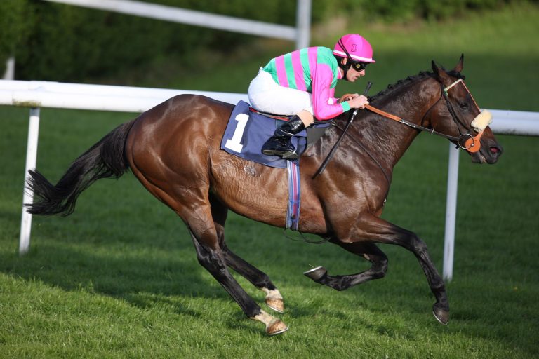 Deckhengst Worthadd eingegangen