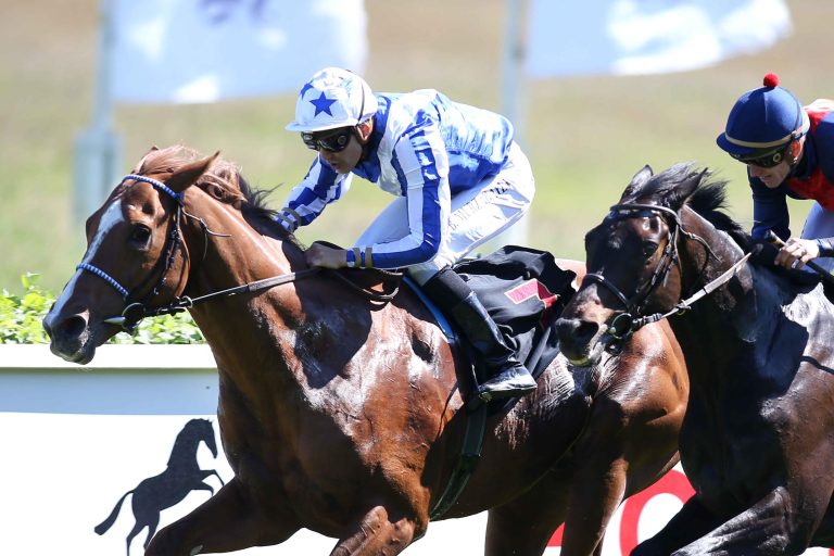 Yaa Salaam gewinnt das Top-Handicap