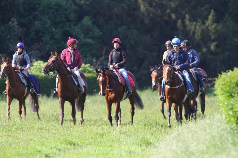 Golden Pal erster Nunthorpe-Sieger für Ward?