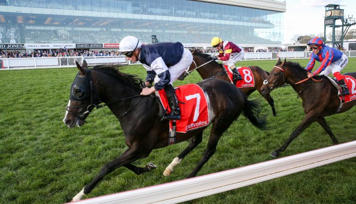 yucatan_racing_photos