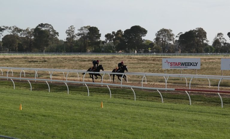 Schafft Lloyd Williams den Cup-Hattrick?