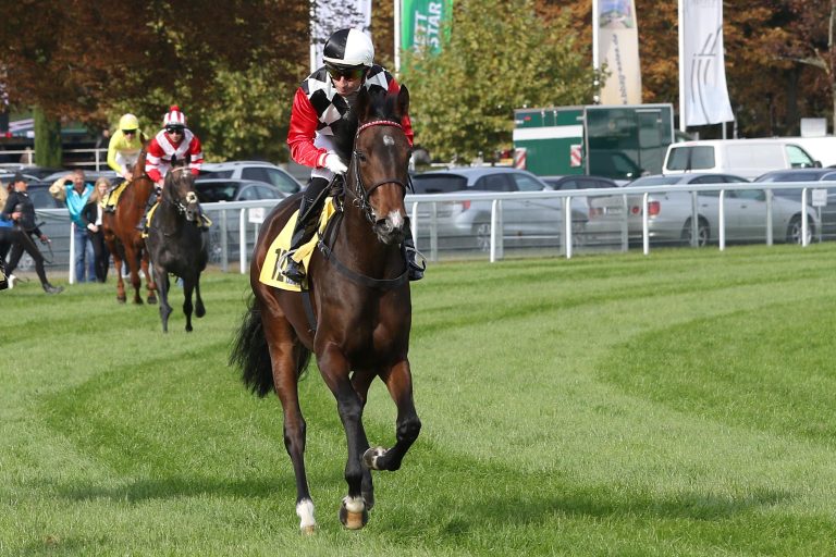 Zweiter Sieg im Elsass – Zefania legt nach