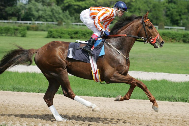 Doppeltes Preisgeld im Svenskt Derby