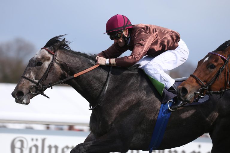 Beinbruch bei Derby-Hoffnung Zirconic Star