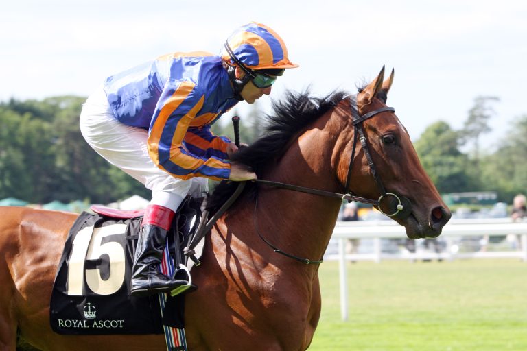 Deckhengst Zoffany eingegangen